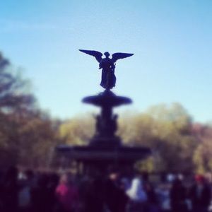 Meet your Posher, Winter